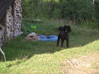 P1010142.JPG